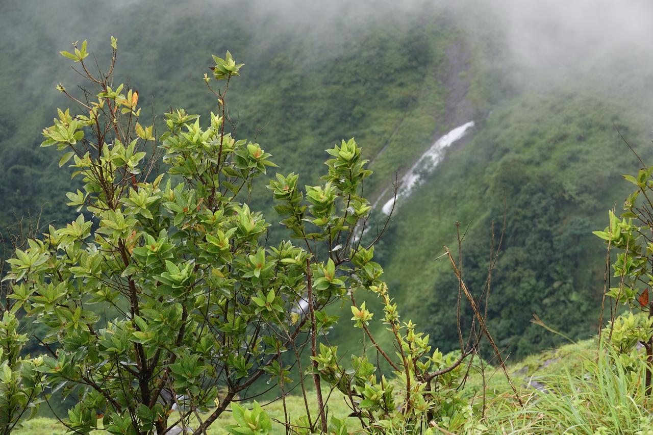 Orion County Hotel Vagamon Buitenkant foto