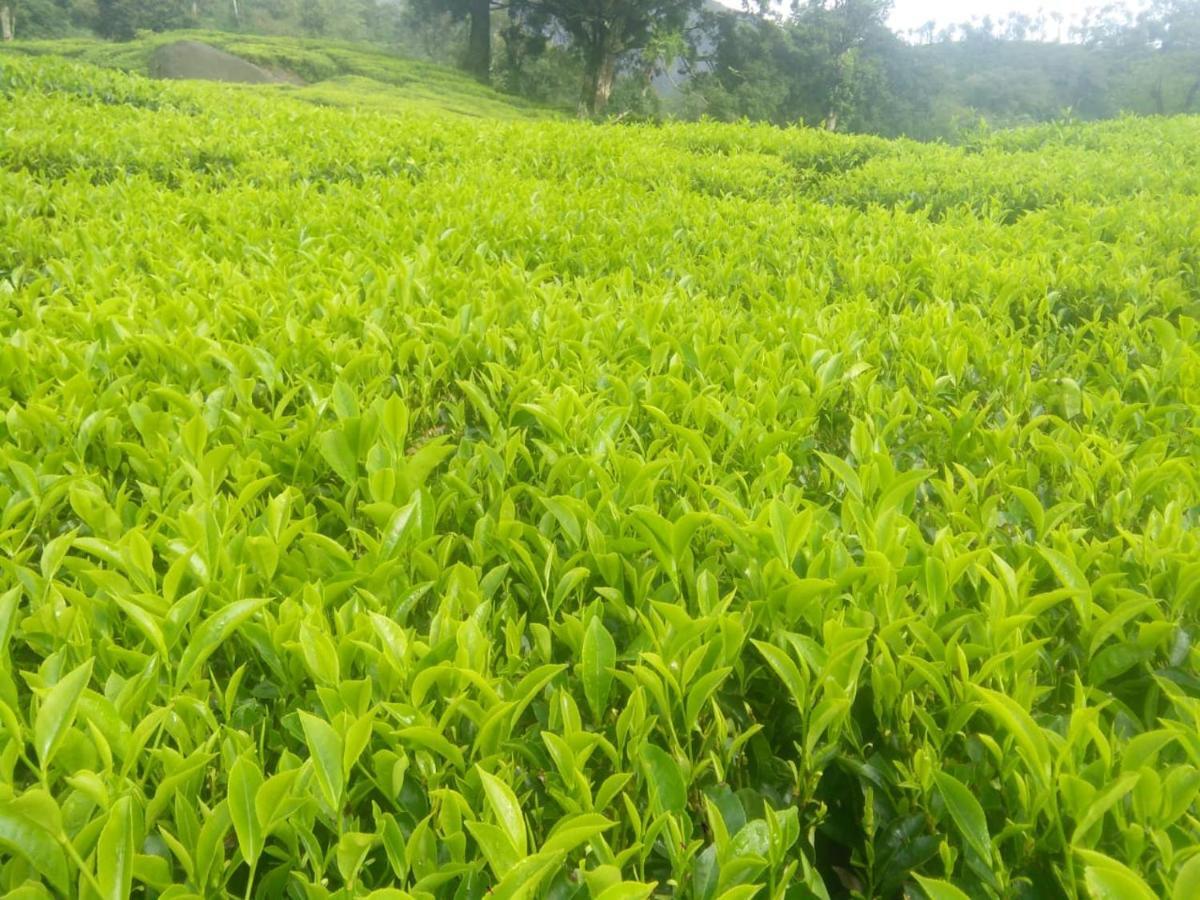 Orion County Hotel Vagamon Buitenkant foto